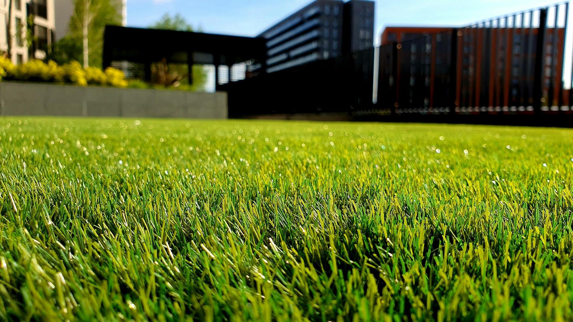 Beautiful green lawn