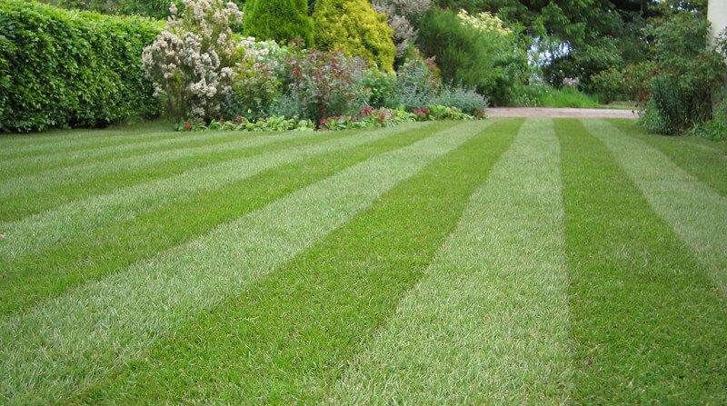 Yard Mowing